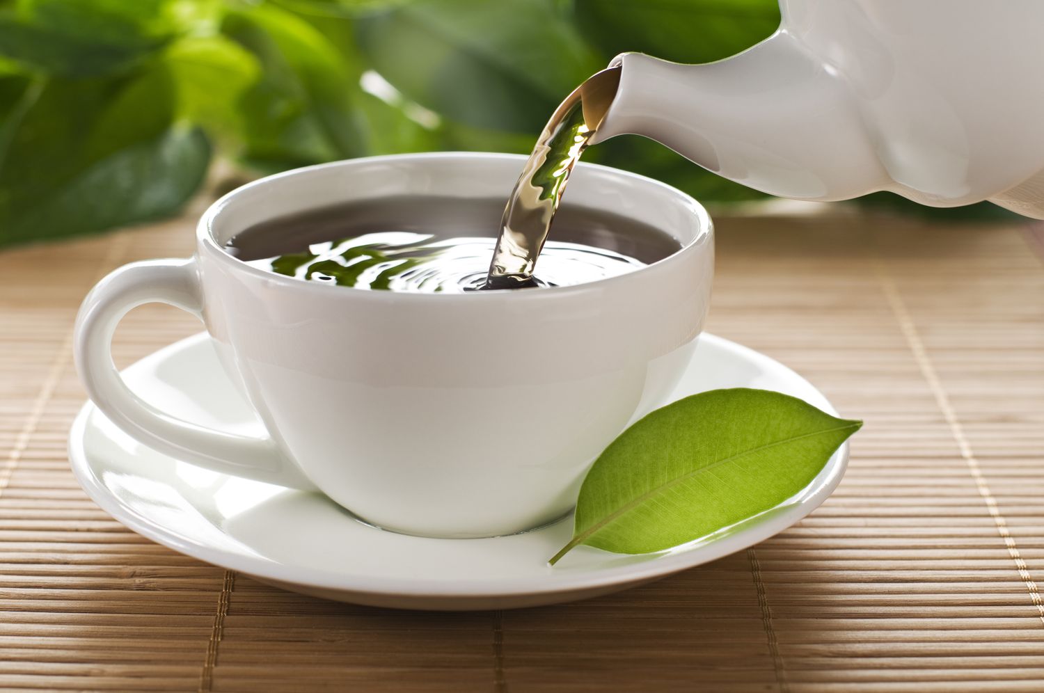 Green tea for everyday lifestyle routines